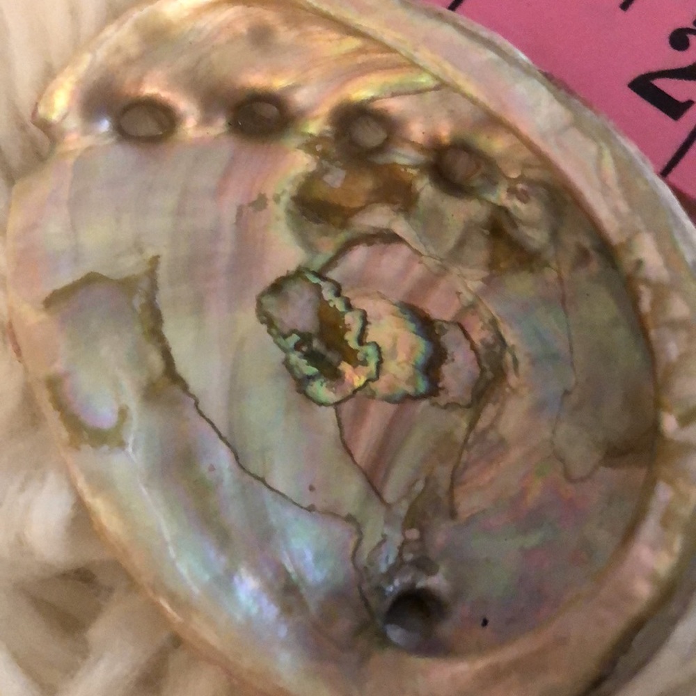 Genuine abalone shell - Picture 4 of 4